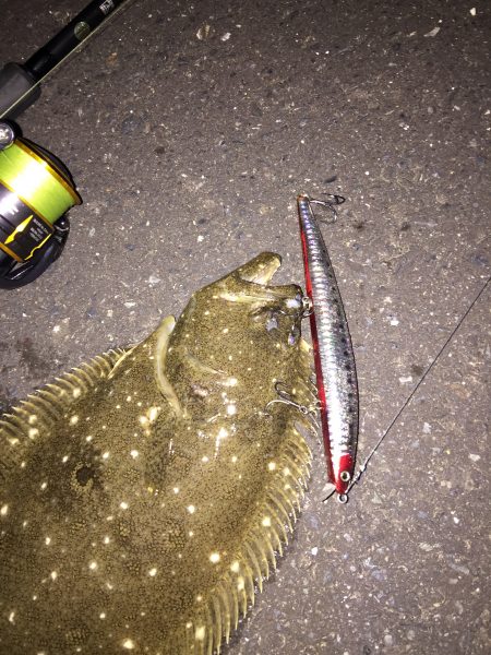 またヒラメが釣れました